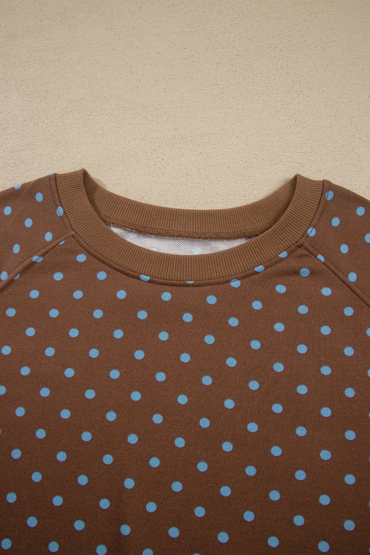 Polka Dot Round Neck Long Sleeve Plus Size Pant Set