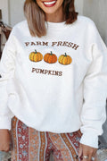Farm Fresh Pumpkins Embroidered  Sweatshirt