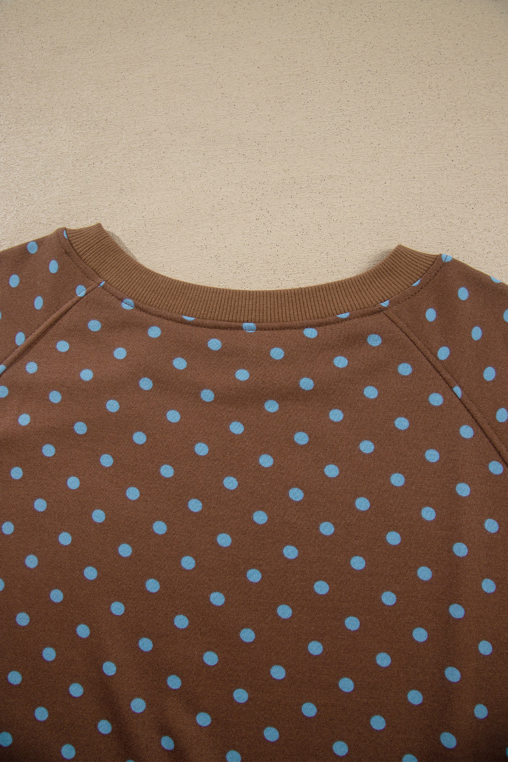 Polka Dot Round Neck Long Sleeve Plus Size Pant Set
