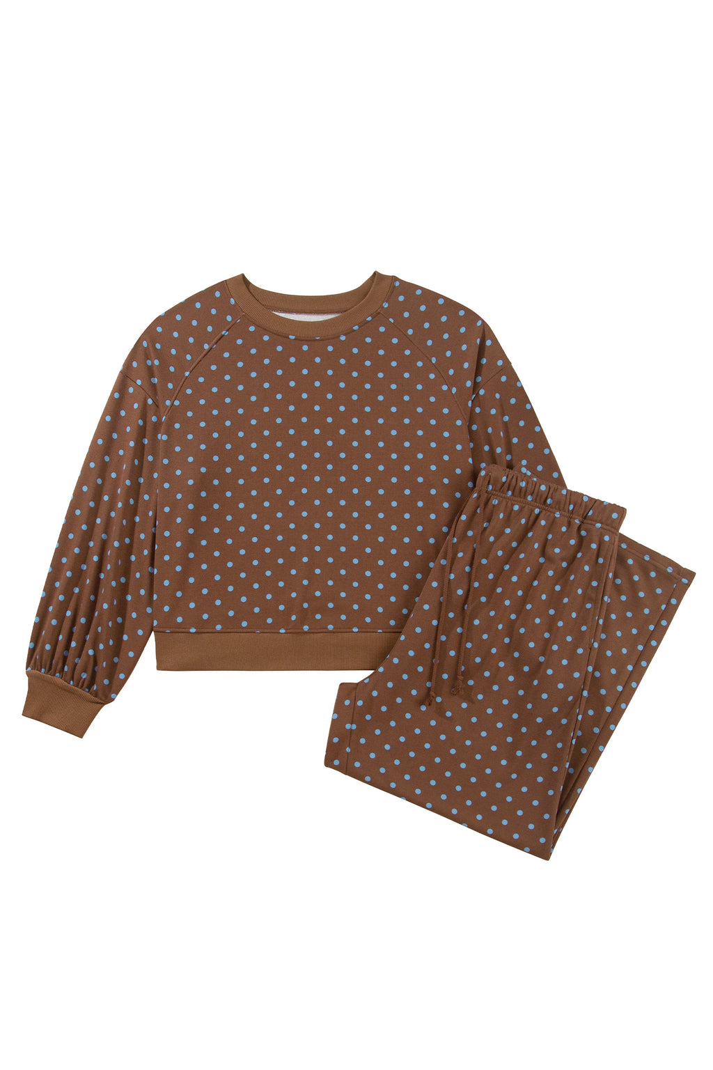 Polka Dot Round Neck Long Sleeve Plus Size Pant Set